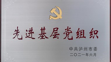 先進(jìn)基層黨組織